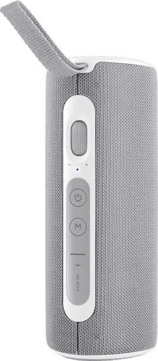 JVC speaker JVC BT speaker gray