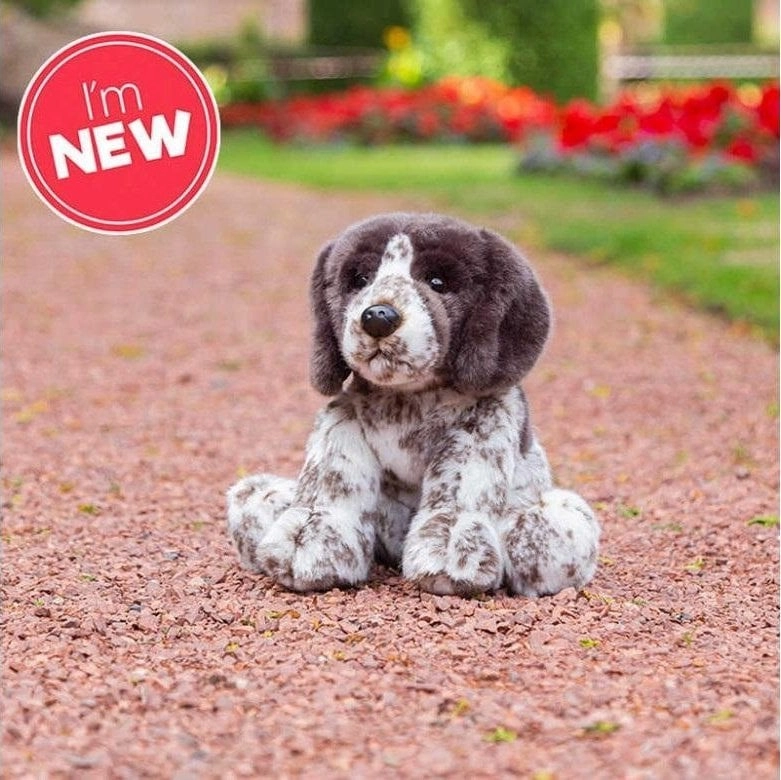 Pointer puppy 38603 5038728151822