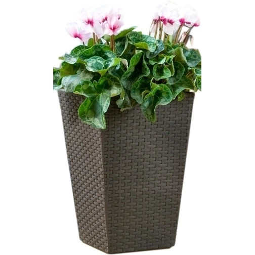 Curver Curver Rattan Planter S 23