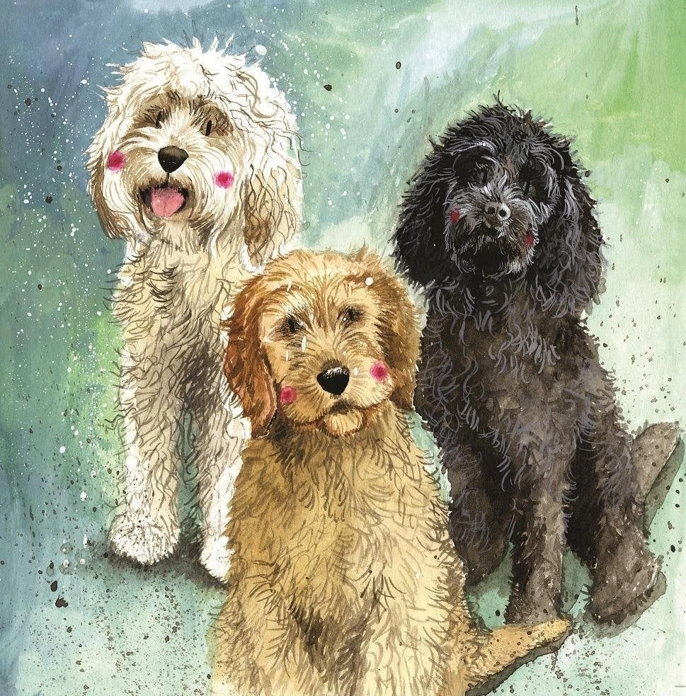 Pass AC745 Cockapoo Dogs 5060108707220