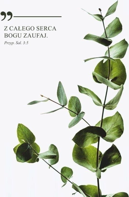 Koinonia Kartka - Z całego serca