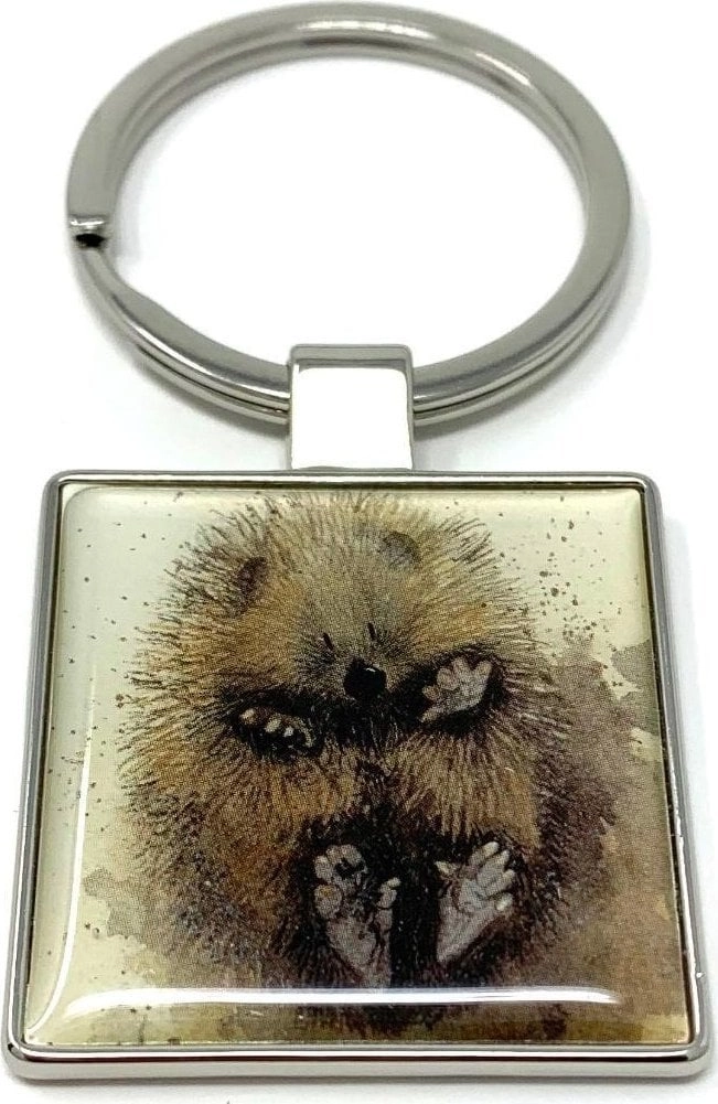 Keychain K18 Hedgehog on the back