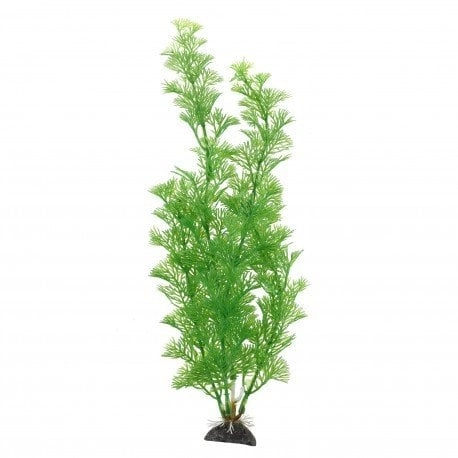Aqua Natura   ro�lina  do dekoracji akwarium