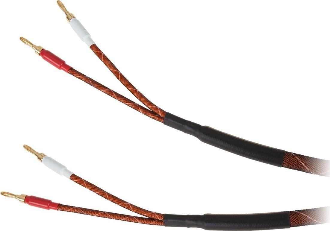 3.0m Krugeramp;amp;Matz Speaker