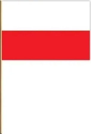 Polish flag set 20 pcs 5901738563032