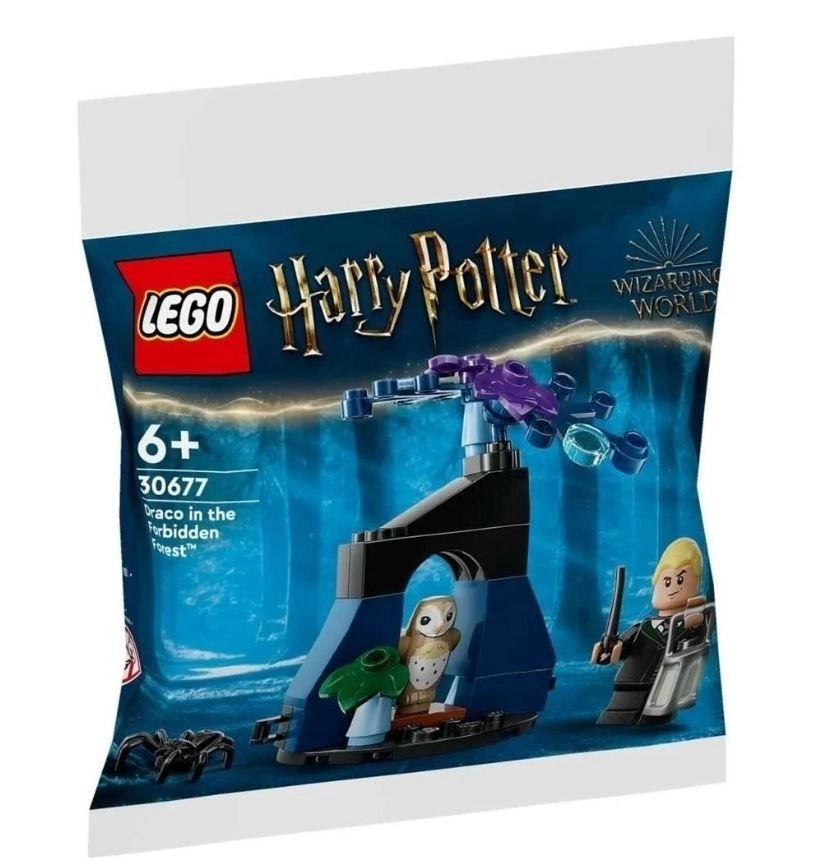 LEGO 30677 Draco In The Forbidden