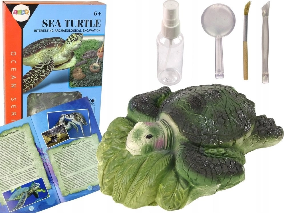 LeanToys Educational Set Excavation Ammonite Turtle