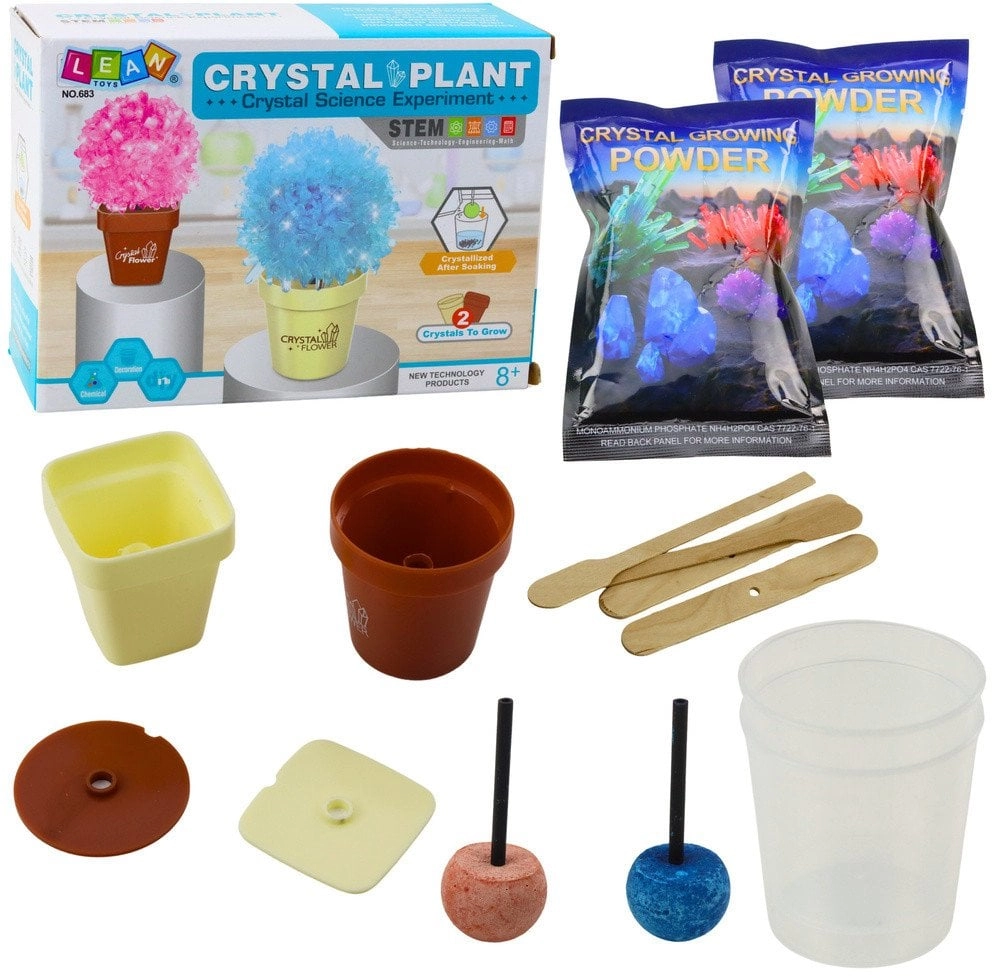 LeanToys Educational Set Growing Magic Crystal