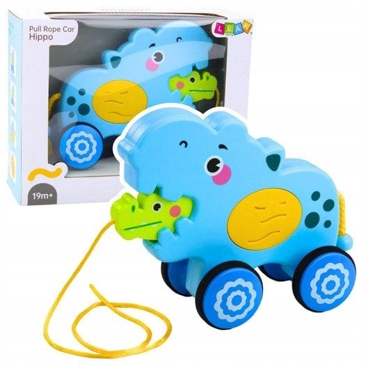 Hippopotamus On A Rope Riding To