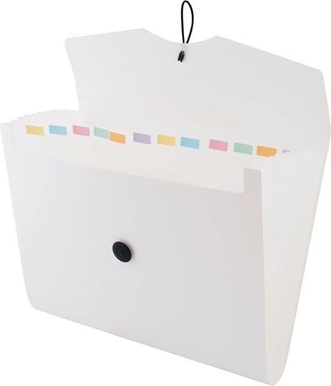 Leviatan A4 white folder with 12