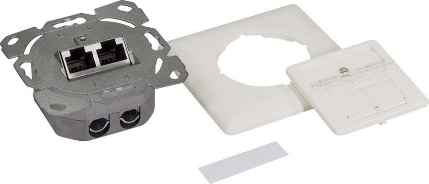 Logilink Cat.6A network socket UP2x