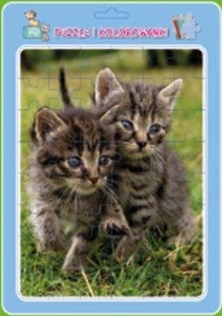 Puzzle in a frame with a