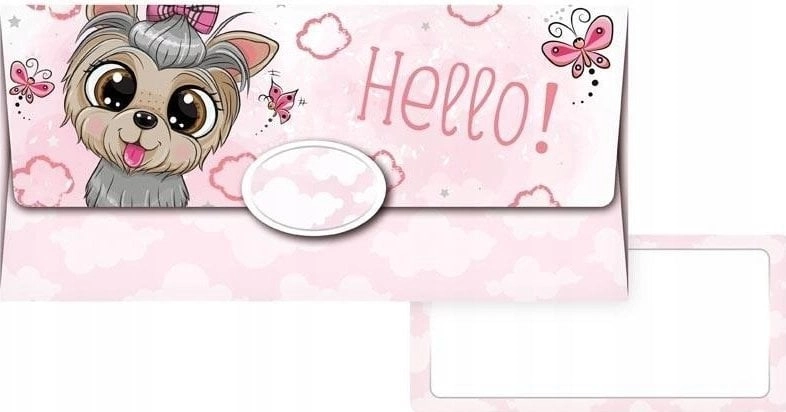 MFP paper money envelope de 55-074