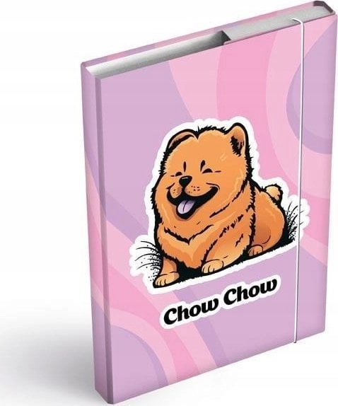 MFP paper folding folder with elastic