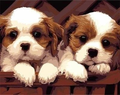 Painting by numbers - 30x40cm Two