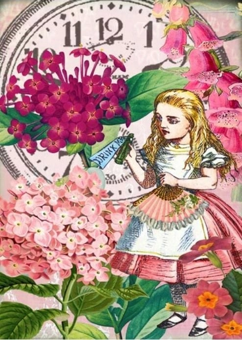 B6 card with an Alice in