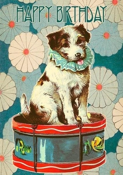 B6 pass with envelope Birthday Dog