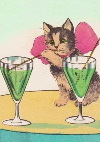B6 pass with envelope Cat and
