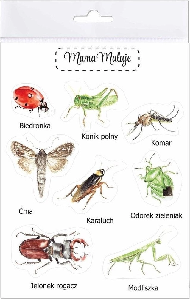 Large stickers Insects 1 508882 5904665279359