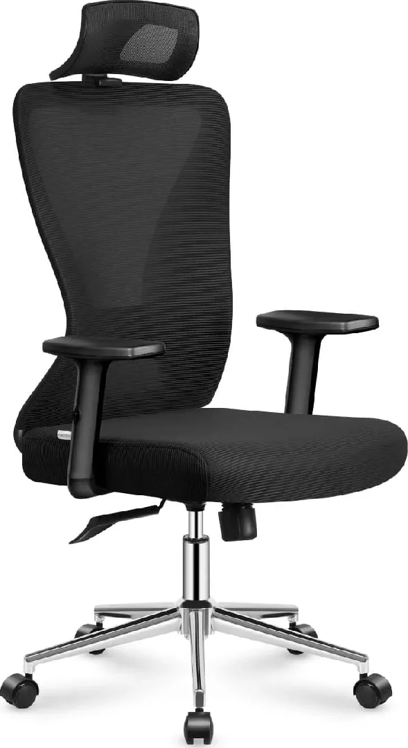 Ergonomic office chair Mark Adler Manager