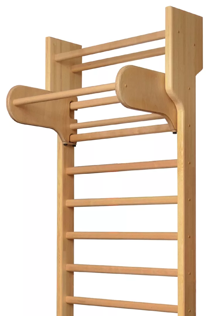 Renaissance Meduskoks wall pull-up bar GTZ001