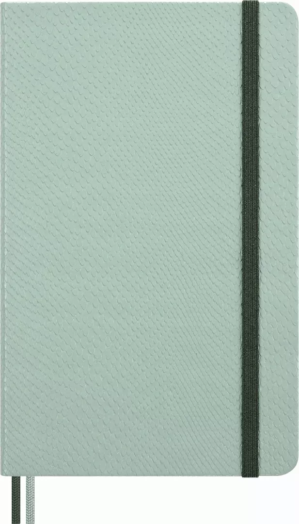 Moleskine Notes MOLESKINE Snake 2025 L