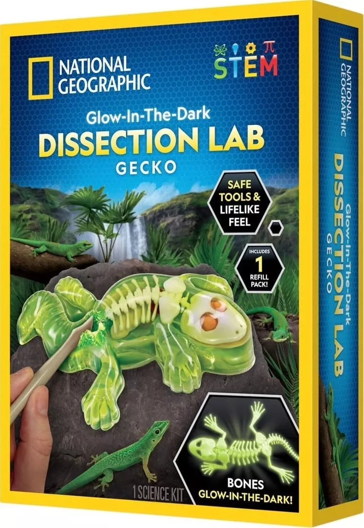 National Geographic National Geographic Gecko Dissection