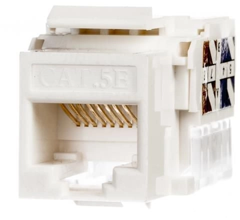NETRACK 105-02 Netrack keystone jack module