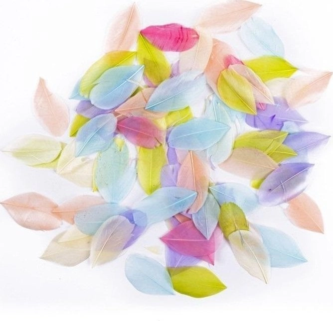 Goose feathers pastel 6cm 5g (