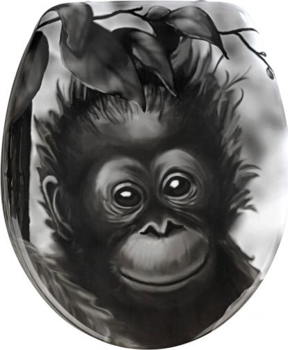 Toilet seat Aap toilet seat 36