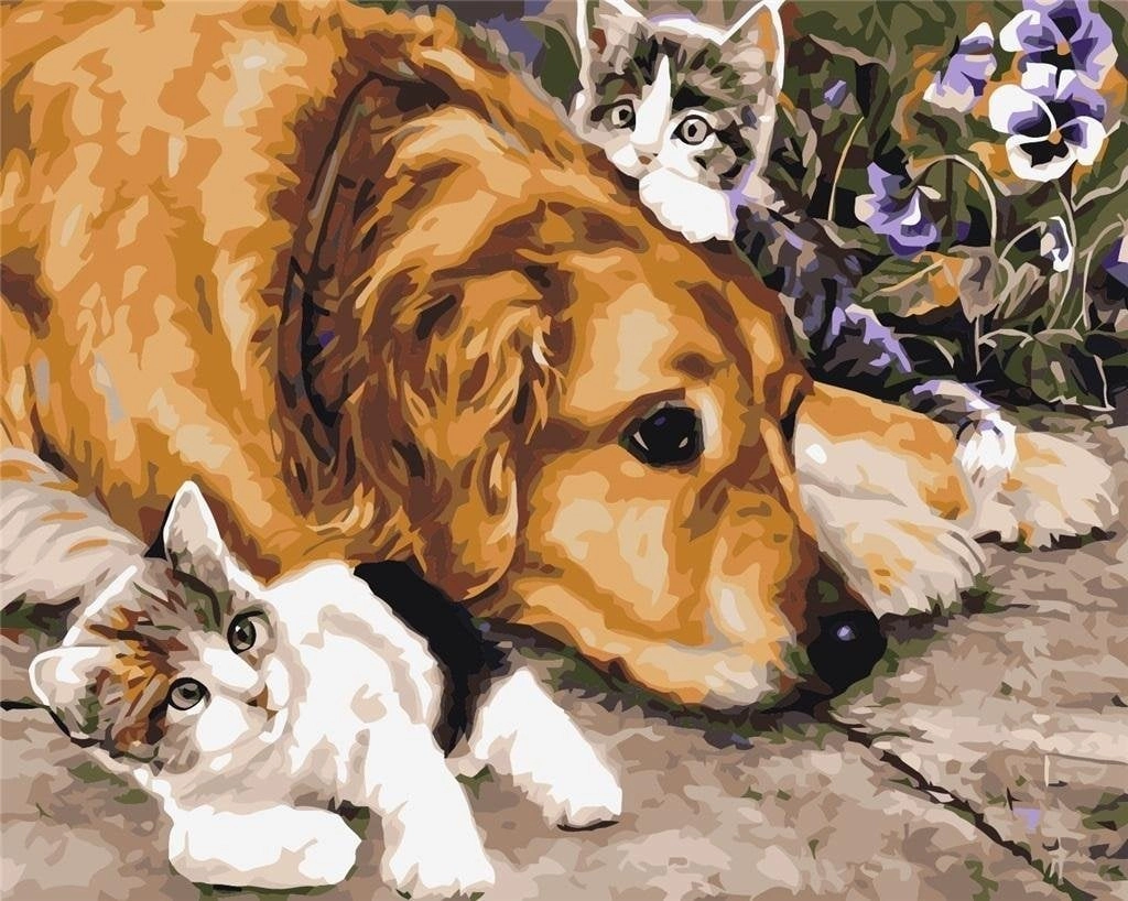 Painting by numbers - 30x40cm Dog/cat