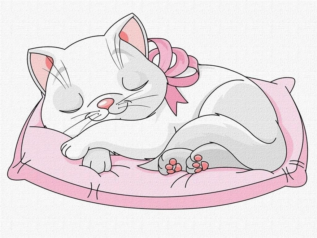 Painting by numbers - Beautiful kitten