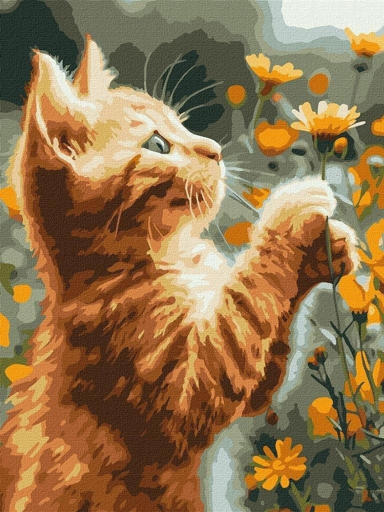 Painting by numbers - Rudy fluffy