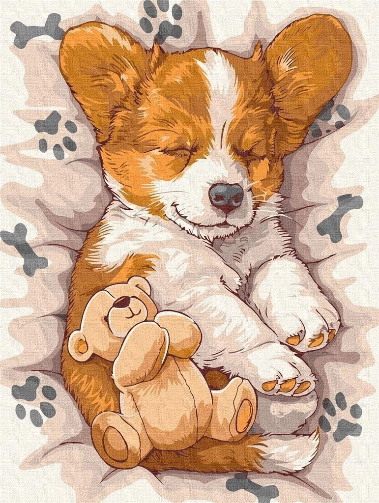 Painting by numbers - Sleeping corgi