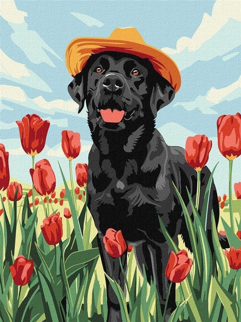 Painting by numbers - Adorable Labrador
