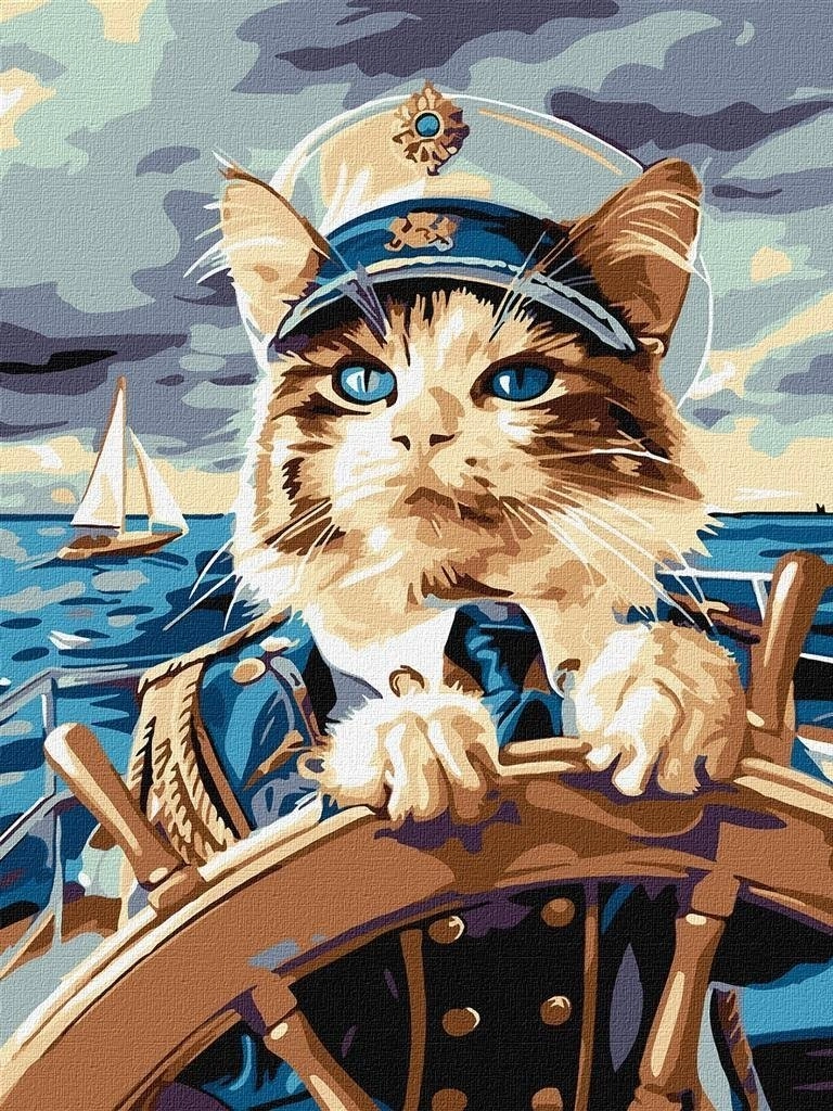 Painting by numbers - Admiral Cat