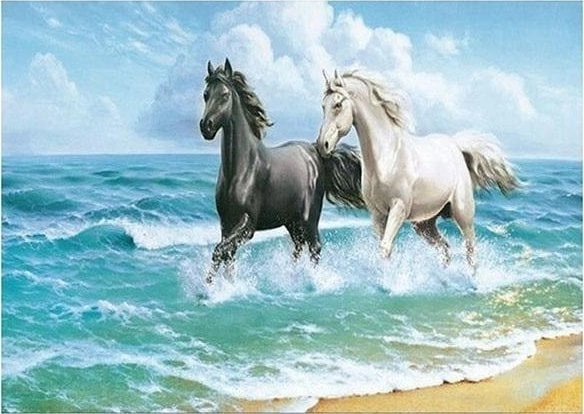 5D diamond mosaic - Horses 40x30cm