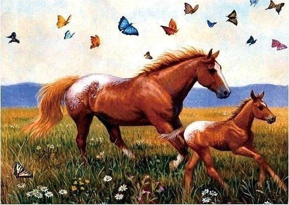5D diamond mosaic - Horses 40x30cm