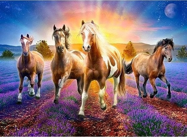 5D diamond mosaic - Horses 40x30cm