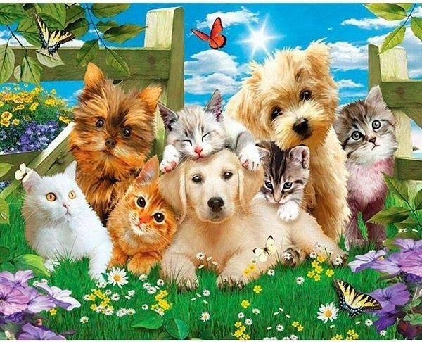 5D diamond mosaic - Dogs and