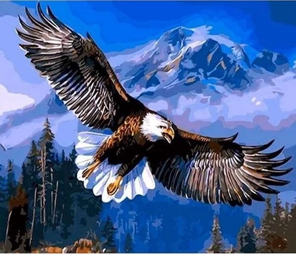 5D diamond mosaic - Eagle 40x30cm