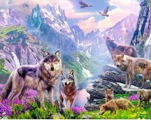 5D diamond mosaic - Wolves 40x30cm