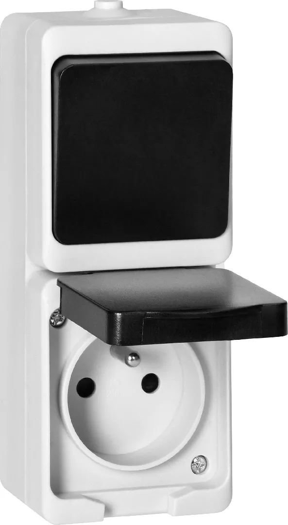 Orno Single-pole switch + 2P+Z socket