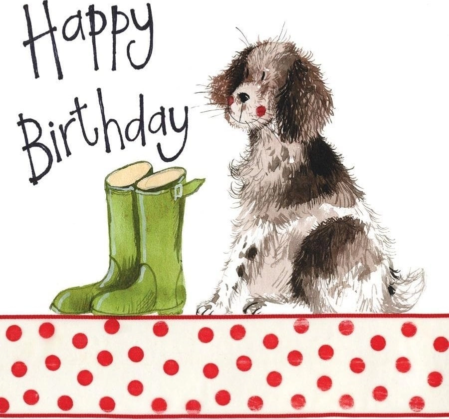 Birthday Pass S100 Dog and Wellington