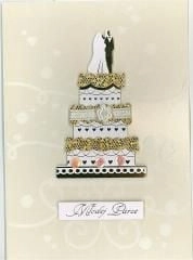 B6 Premium 5 wedding pass (5