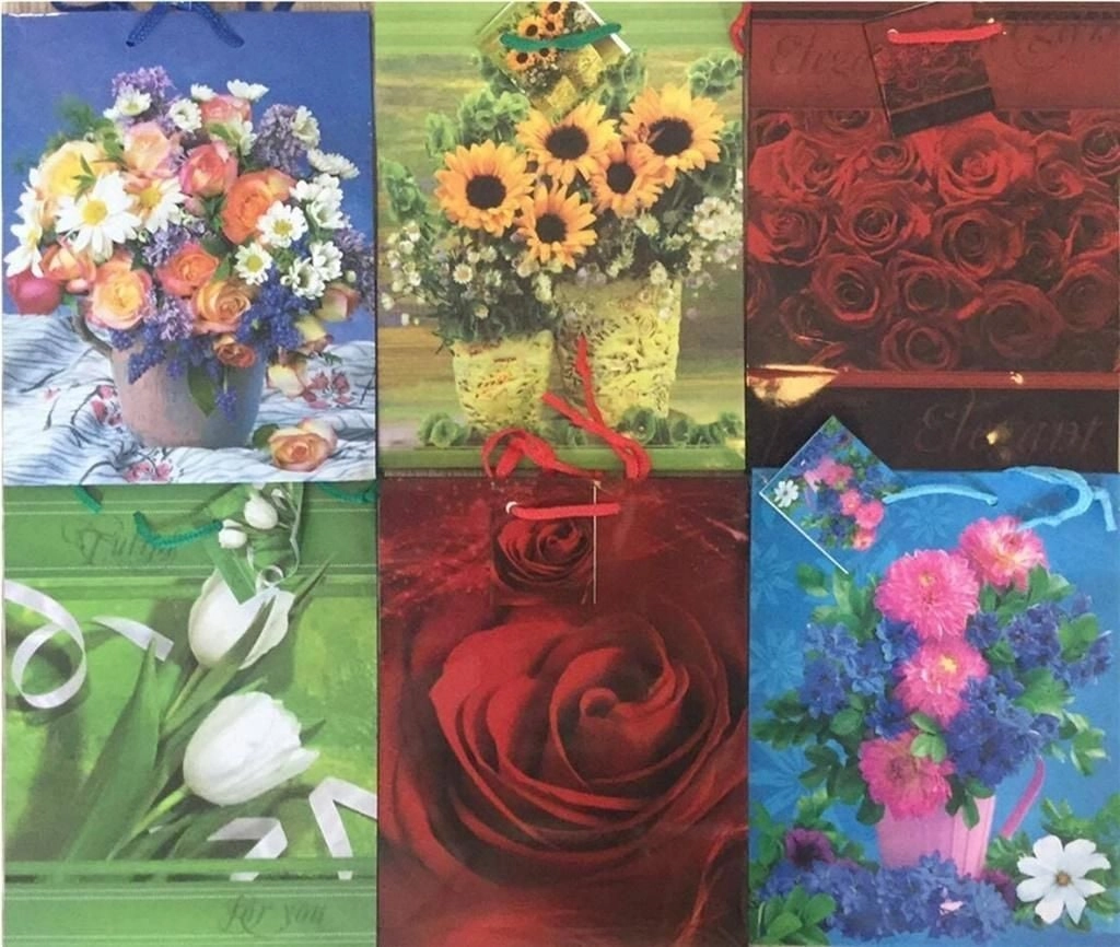 Panorama Decorative laminated gift bag PL-2