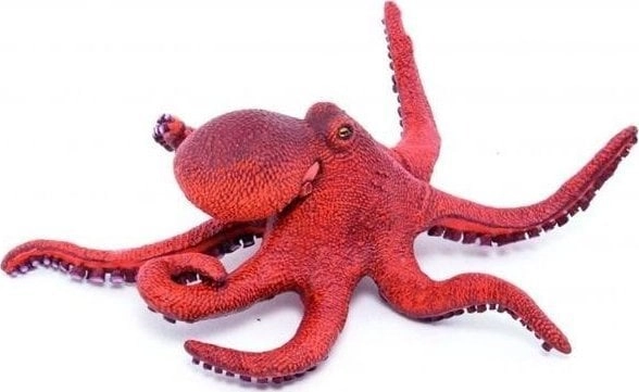 Baby octopus 3465000560607