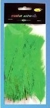 Party Deco Soft feathers light green