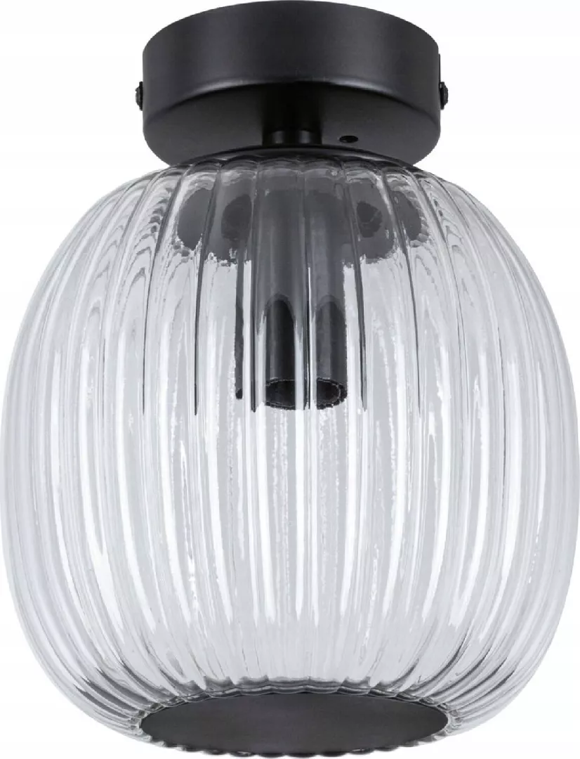 Paulmann ceiling lamp RUYA bathroom ceiling