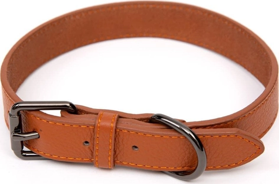 Paw Love - Collar leather dog